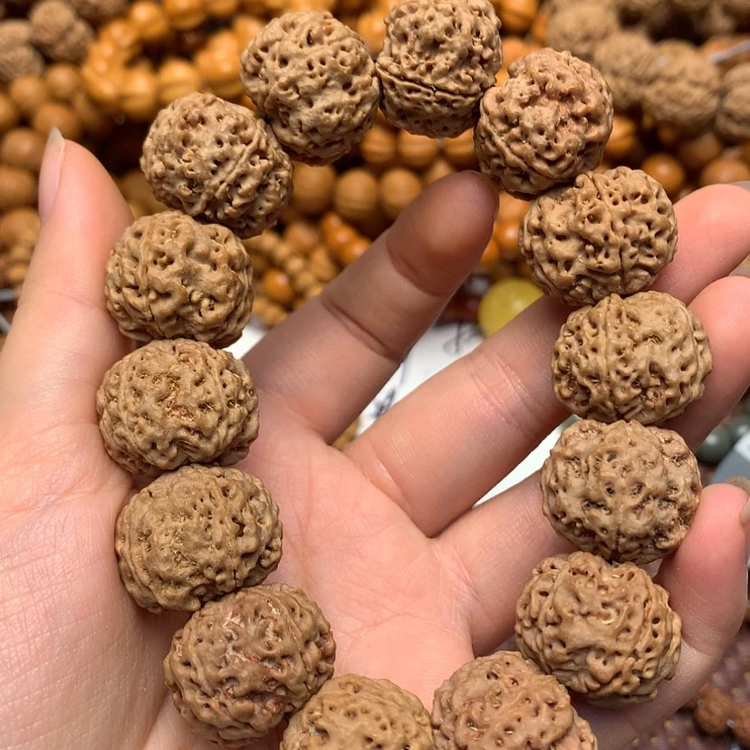 大金刚五星蜂王2.4尼泊尔大金刚爆肉蜂窝双龙（头货）