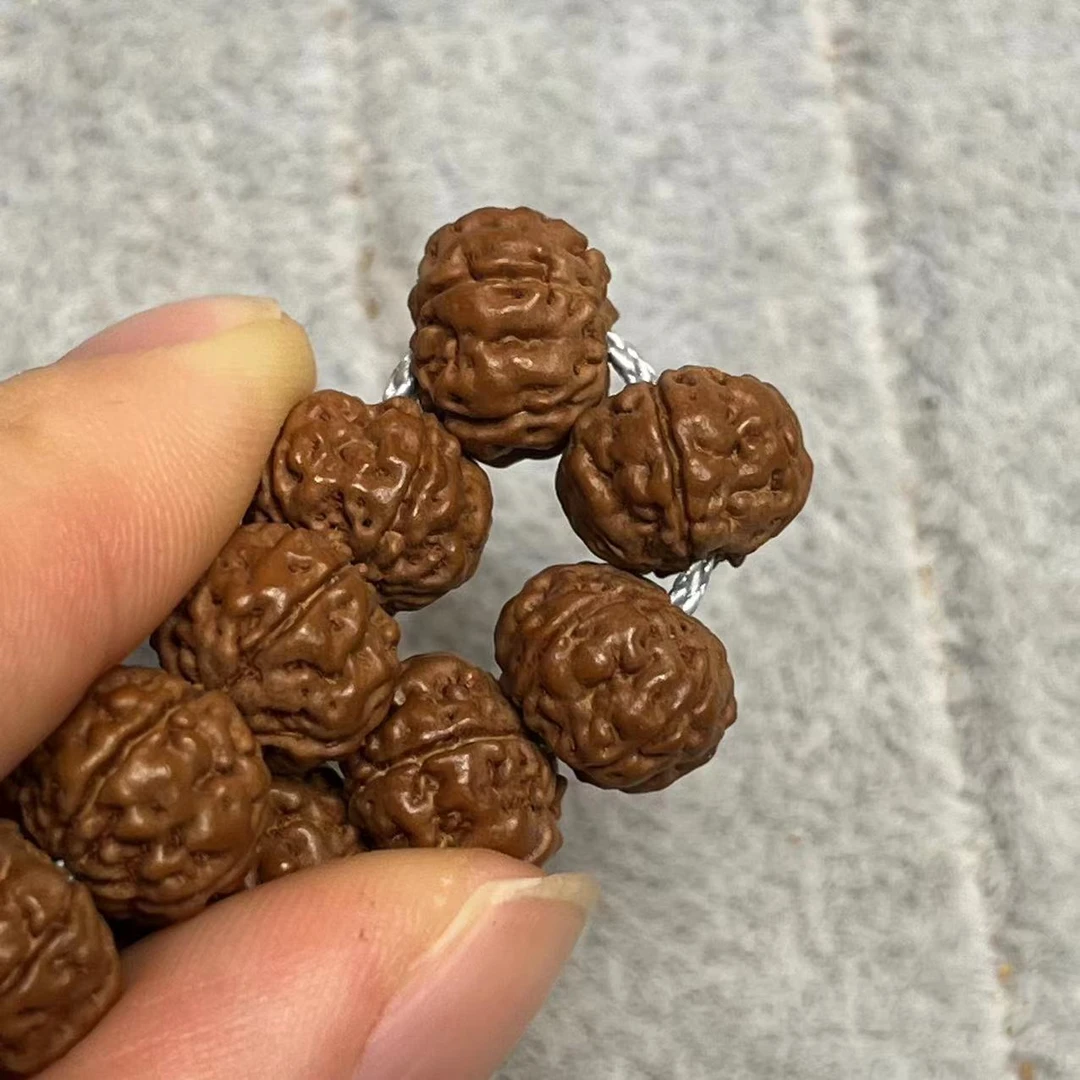 《勿里达老树王单圈手持14mm》金刚菩提手串小金刚紫红皮老树籽