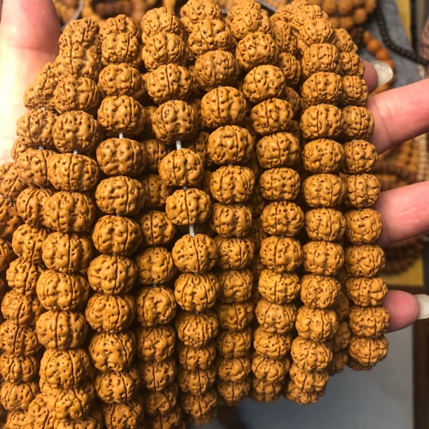 【霸王花】小金刚108颗14mm金刚菩提手串深沟爆肉帝王花