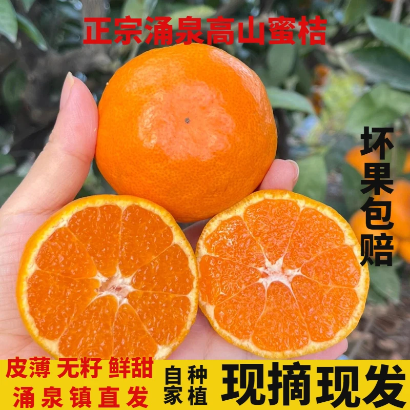 正宗产地直发热销涌泉蜜桔黄岩橘子新鲜水果现摘现发果肉饱满爆汁