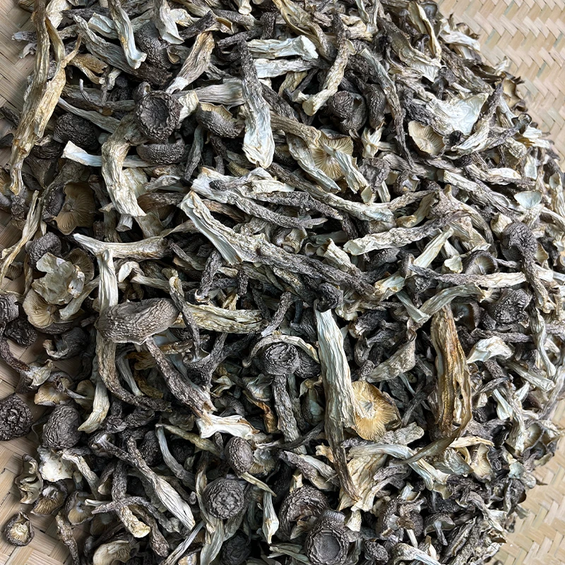 福建屏南高山食用菌菇干货农产品鹿茸菇小嫩仔（碎菇不喜勿拍）500g