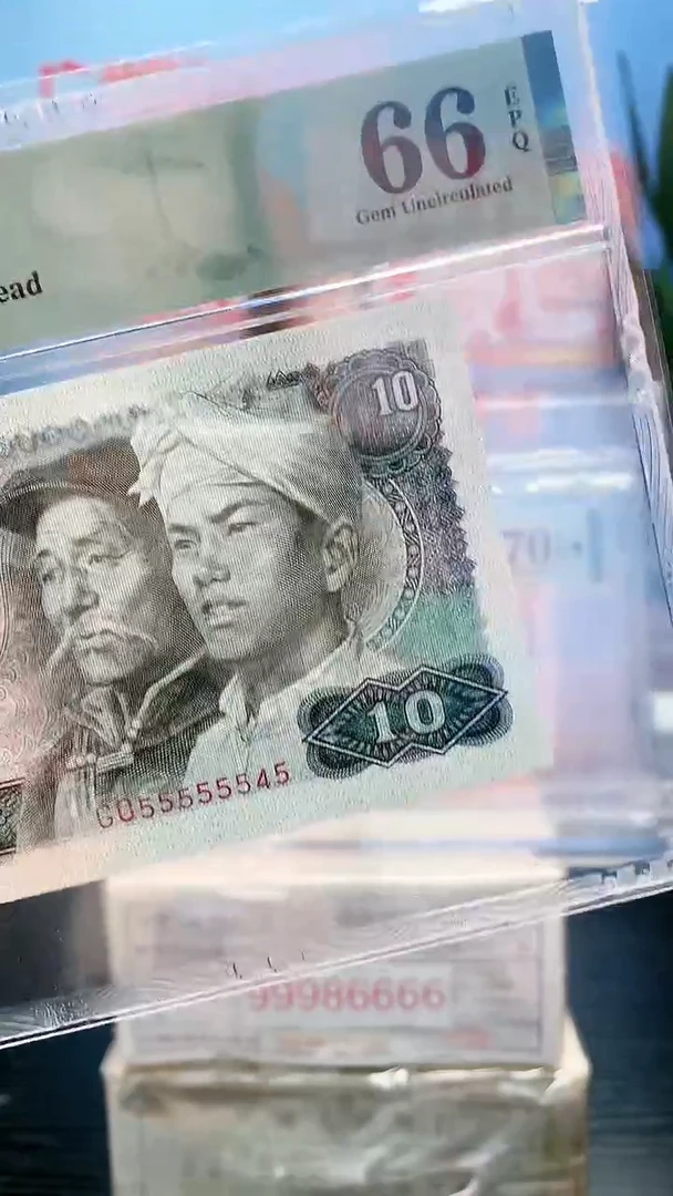 【闪购商品】8010-55555545