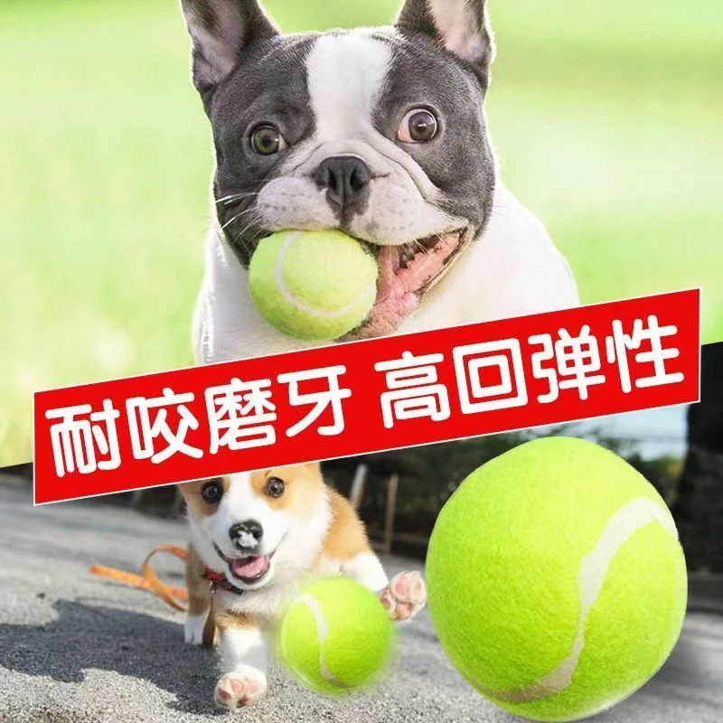 点砚网球高弹性升级耐打训练款耐磨初专用筋膜按摩宠物球磨牙耐咬