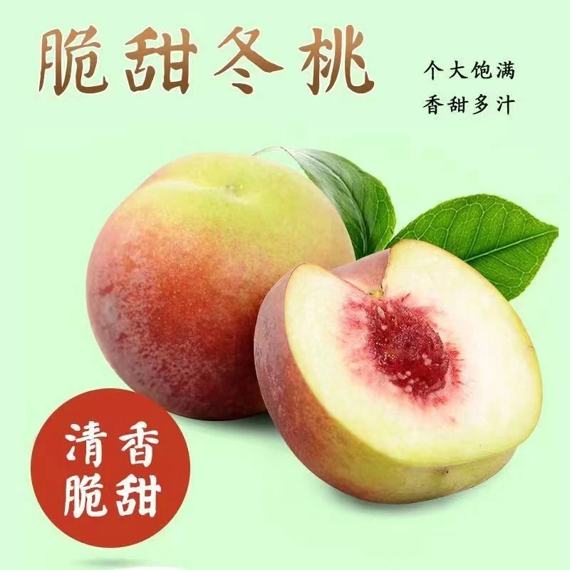 【坏果包赔】沂蒙蜜雪冬桃水蜜桃脆甜爽口饱满正宗香甜孕妇新鲜水果