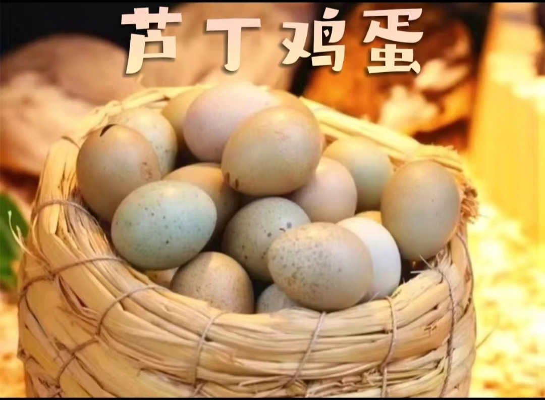 几毛秒芦丁鸡德系含礼服蛋全色系网红迷你鸡蛋卢丁鸡农产品包邮