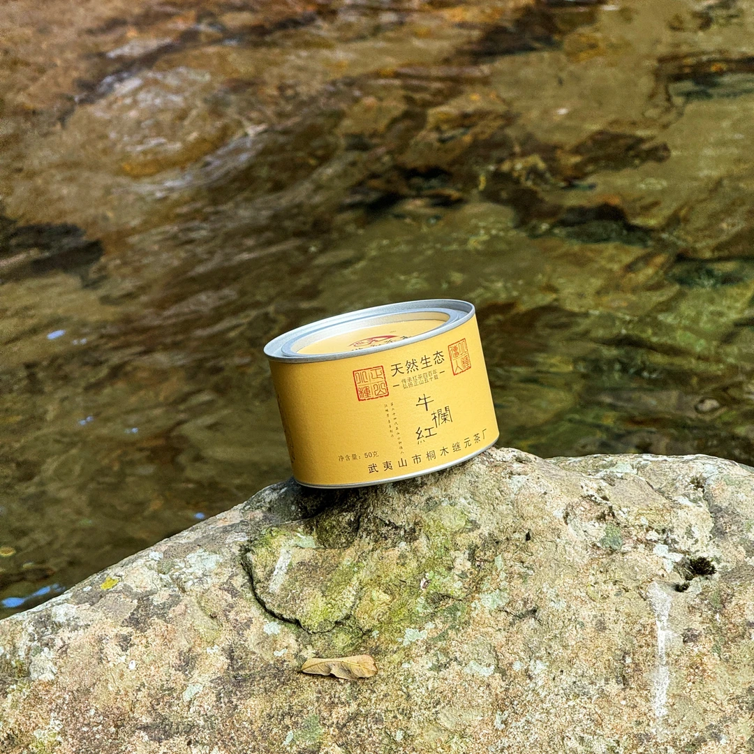 【继元】牛栏红百年老枞采摘一芽二叶清香甘甜枞木生津回味悠长