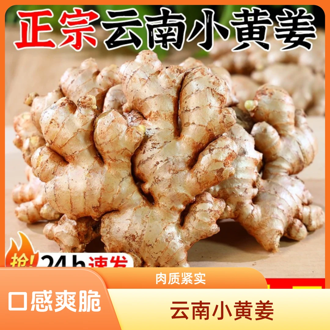 正宗云南小黄姜新鲜罗平生姜老姜批发本地仔姜黄姜姜干姜土姜沙姜