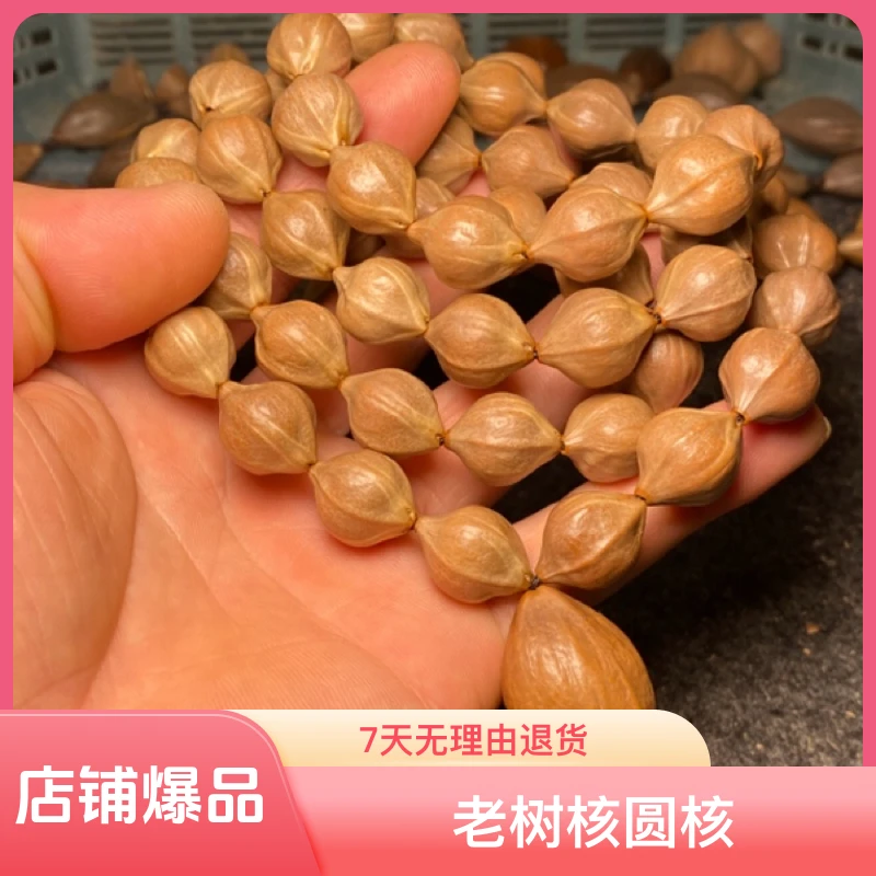 橄榄核铁核1.3脖挂短圆原皮长串老树核圆核正圆原皮素串