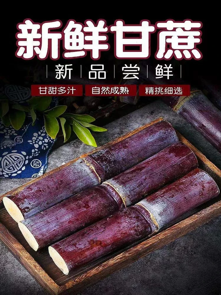 广西手撕黑皮水果甘蔗新鲜砍断发货净重5斤/9斤