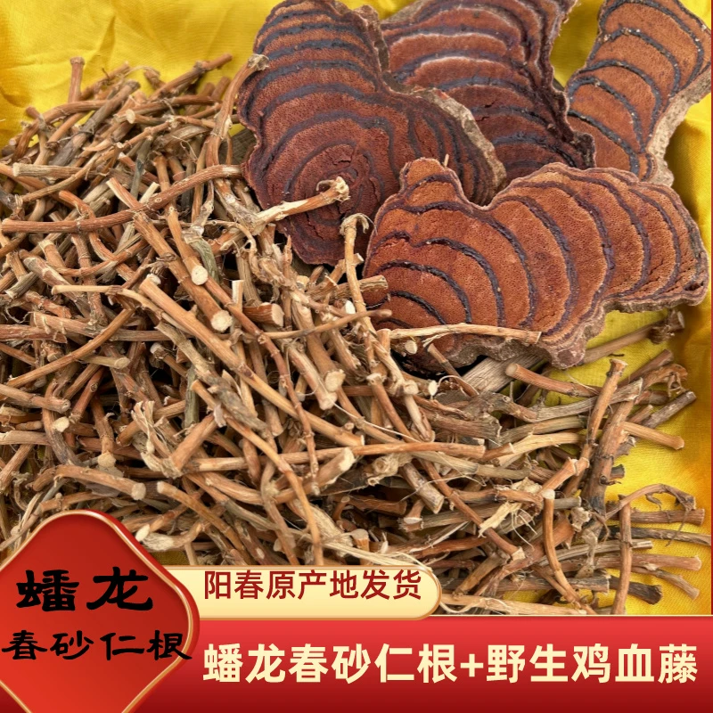 上等蟠龙春砂仁根头加鸡血藤量-少 推-迟 拖-尾等女人汤