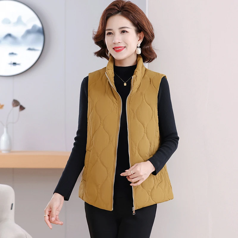 秋冬立领加厚棉马甲中老年女轻薄新款坎肩妈妈保暖背心外套