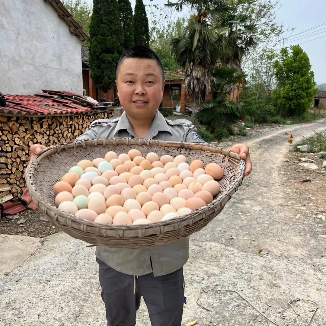 西娃子农户收的正宗土鸡蛋
