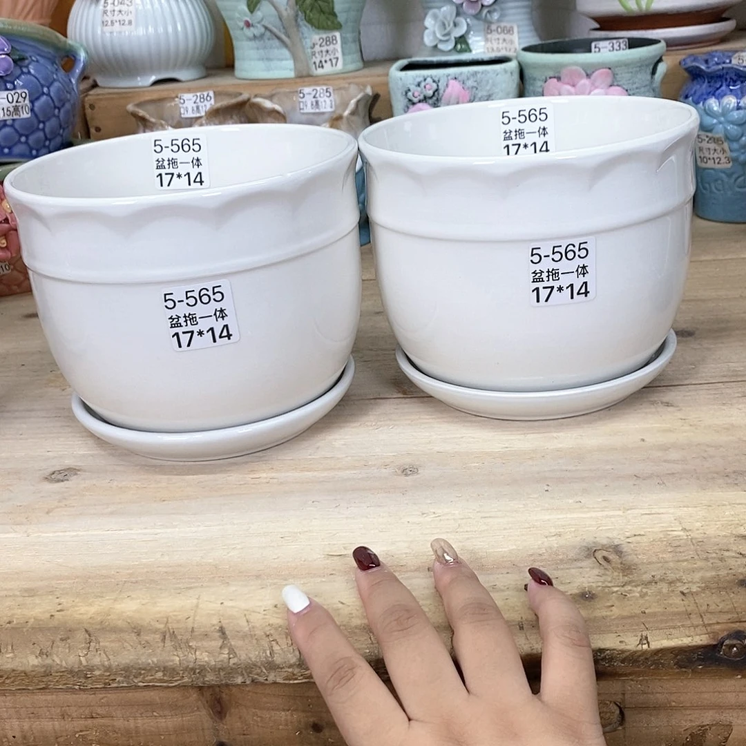 陶瓷20CM以下@@5565
