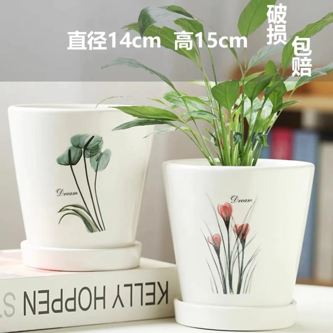 《直播间专享》蝴蝶兰花盆小ins北欧简约创意个性陶瓷带托盘兰花
