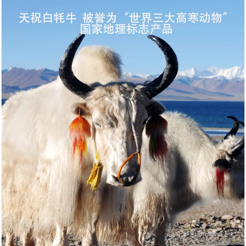 {新鲜先切}高原牦牛肉牛肋排