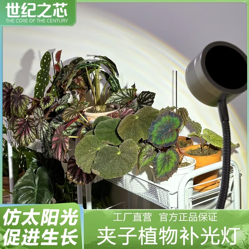 世纪之芯植物补光灯仿太阳全光谱春花盆栽绿植多肉块根植物生长灯