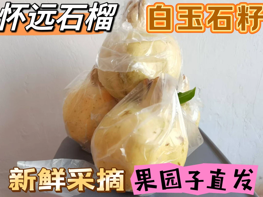 怀远石榴白花玉石籽三白石榴新鲜滋补水果（4-6两） 连箱十斤礼盒装
