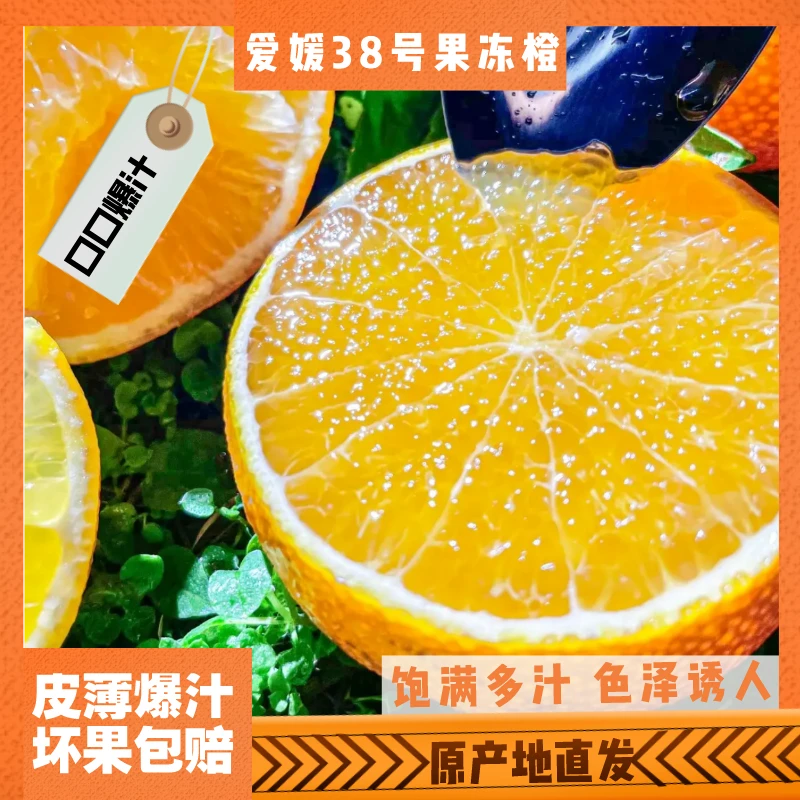 爱媛38号果冻橙橙子新鲜当季水果整箱香甜多汁皮薄肉厚四川甜脐橙