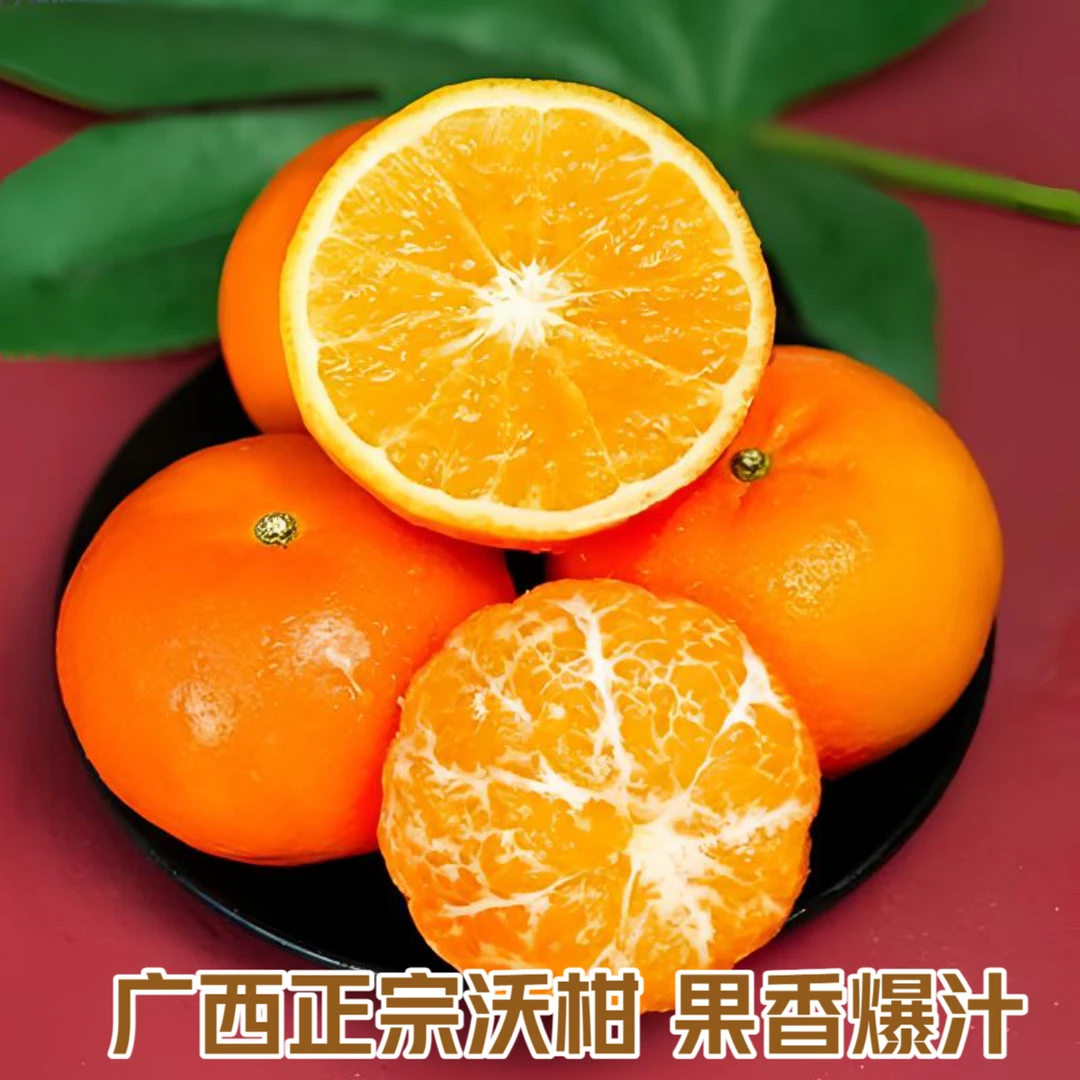 广西正宗武鸣沃柑当季新鲜现摘5/10斤桔橘子产地直发K