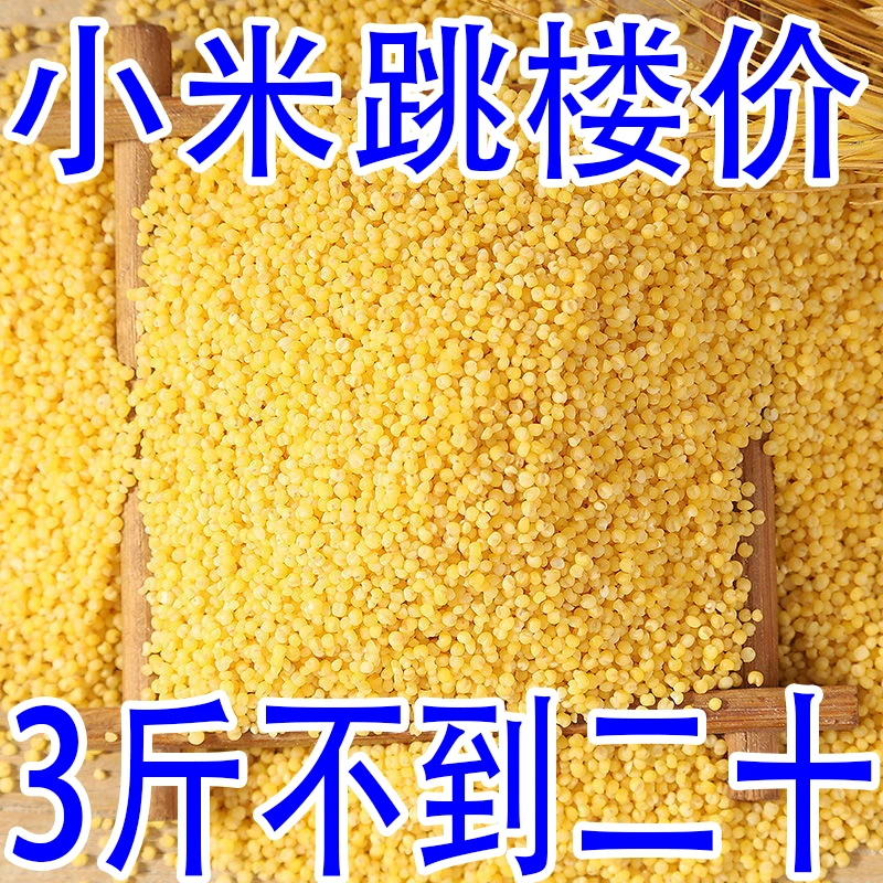 【3斤不到二十】新米东北农家粘稠软糯小米月子宝宝油小米五谷杂粮