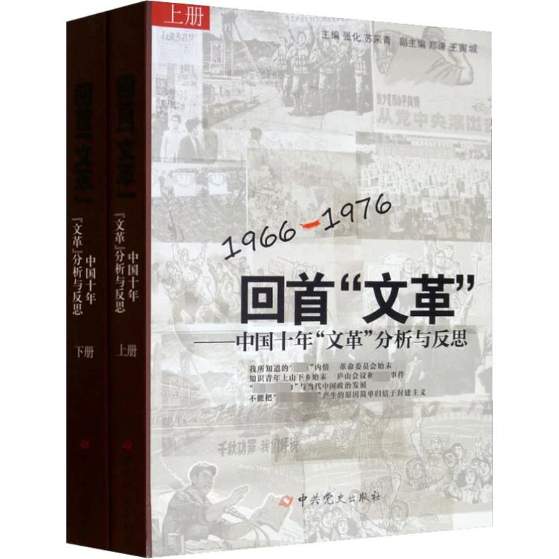【文轩】回首"文革"——中国十年分析与反思(全2册)