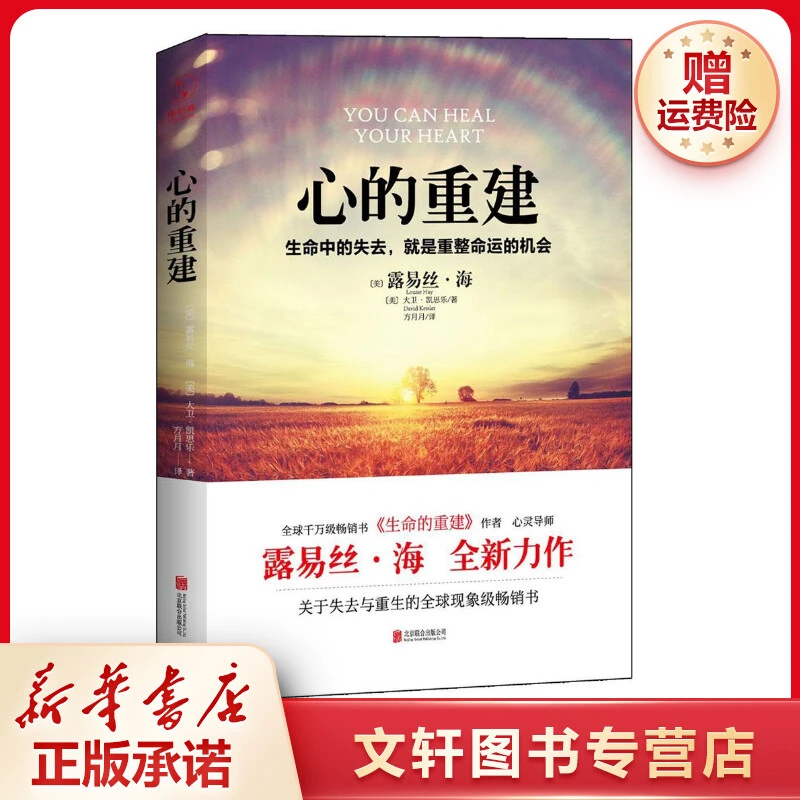 心的重建路易丝·海大卫·凯思乐心理学书籍生命中的失去