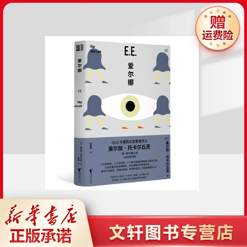 【文轩】爱尔娜 中国现当代文学