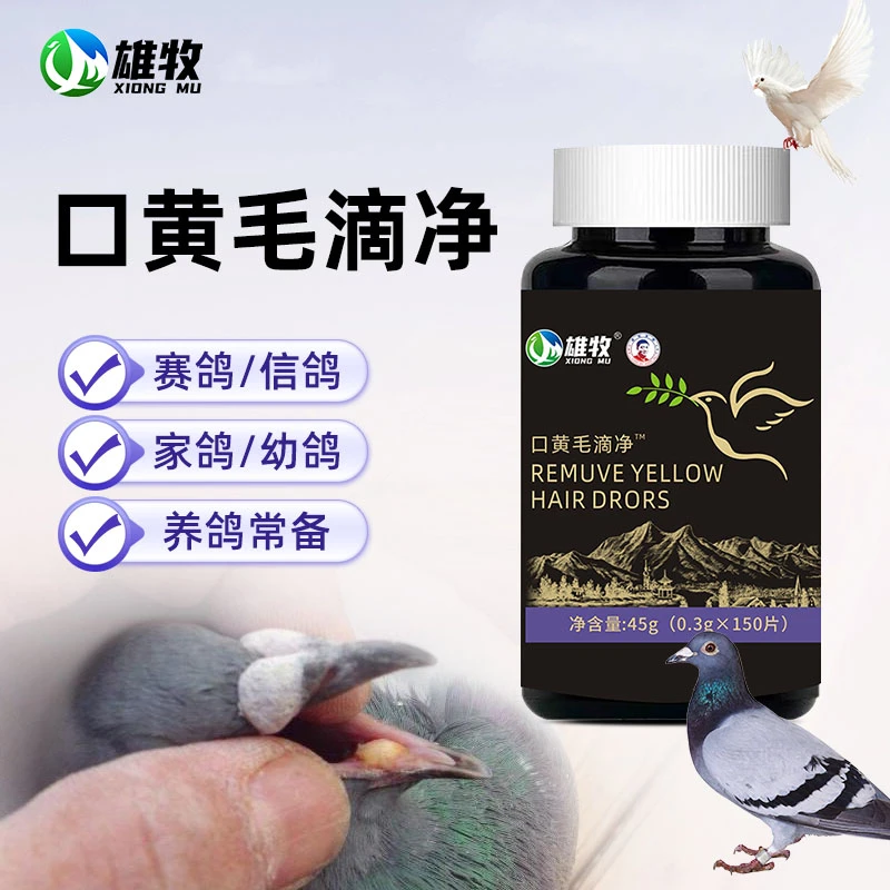 雄牧口黄毛滴净鸽子赛鸽信鸽鸽子用品饲料添加剂正品厂家直销正品