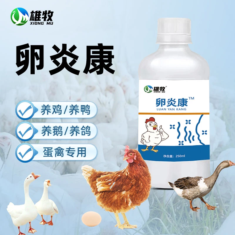 【雄牧】卵炎康鸽子鹌鹑通用饲料添加剂