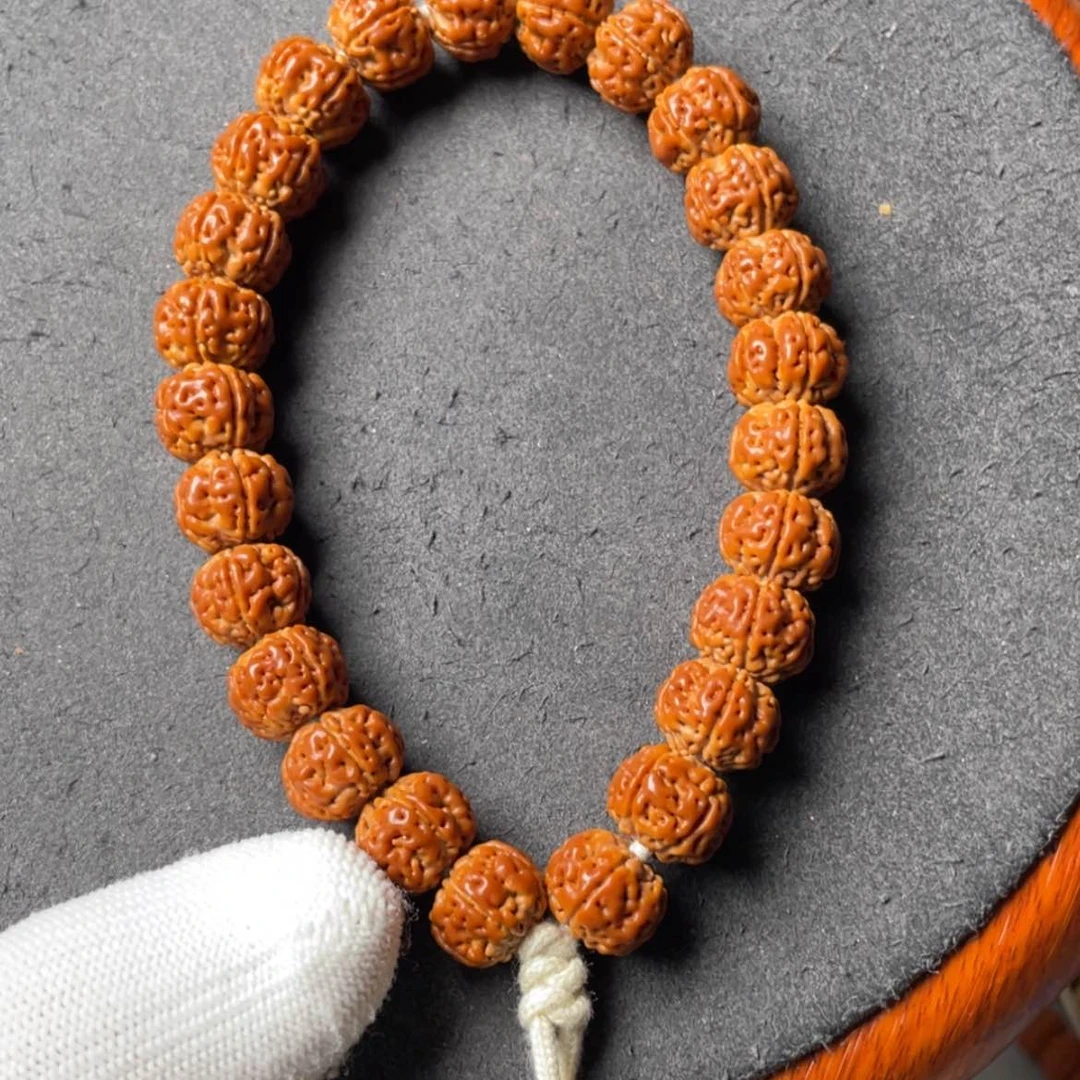 【闪购商品】金刚菩提手串五瓣南瓜满肉老树王，尺寸12/11.5