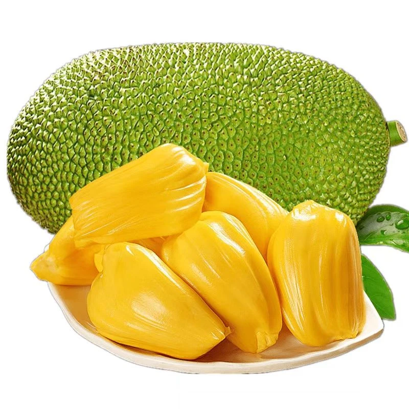 [确认生熟再食用]超大果2025海南热带水果新鲜黄肉木萝蜜产地直发