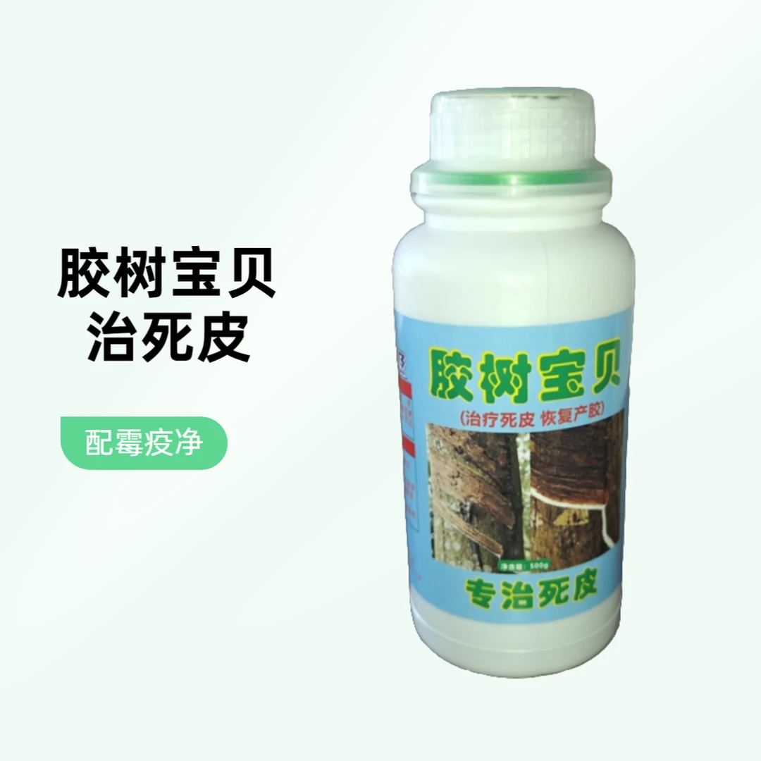 胶树宝贝适用开割后的橡胶树死皮恢复产胶活性快速生根