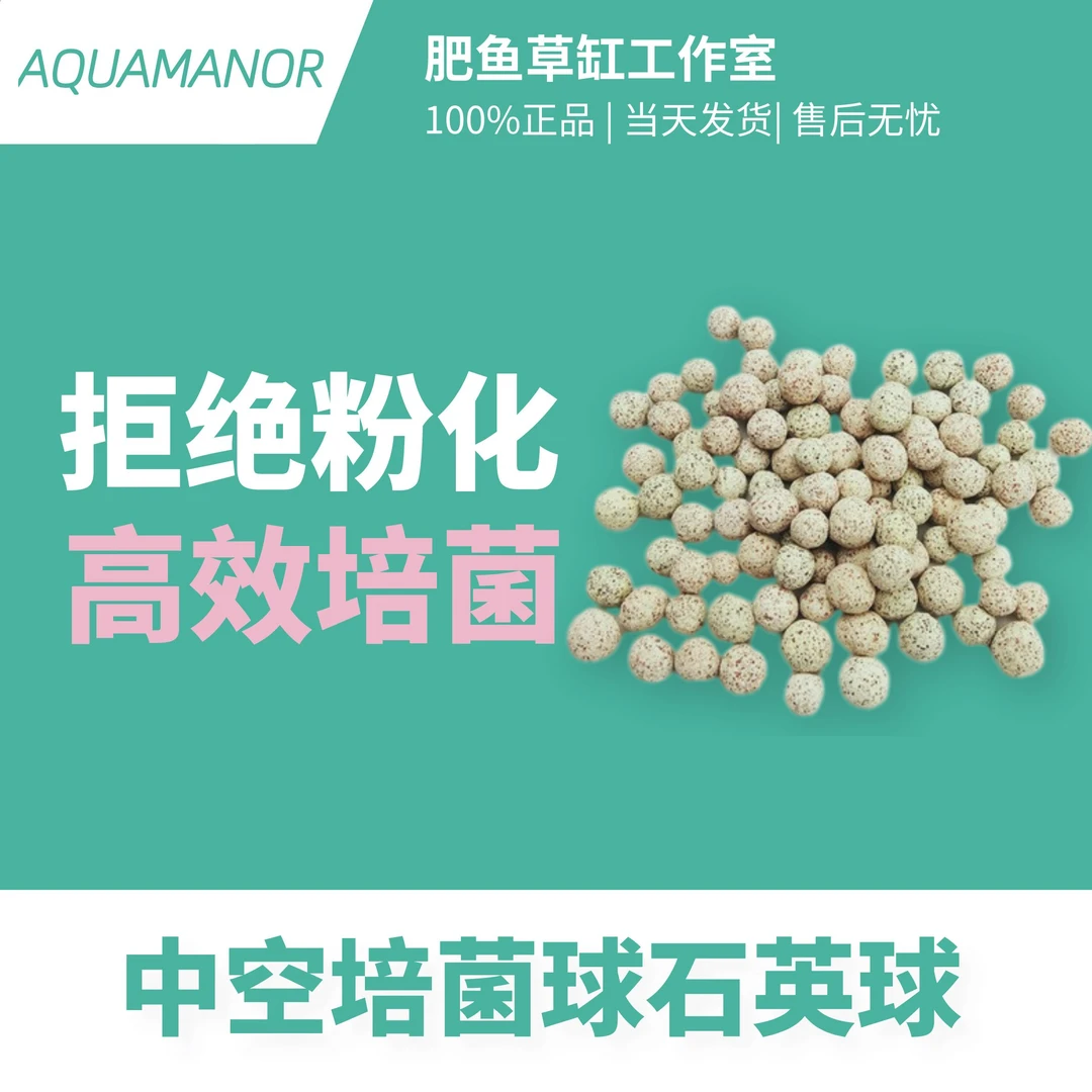 鱼缸中空培菌球石英球水族箱底滤材细菌屋培菌净化水质过滤器