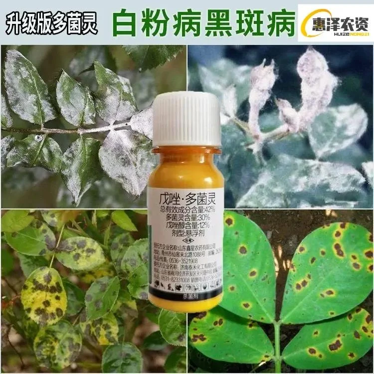 多菌灵白粉病黑斑病专用月季花多肉玫瑰花卉蔬菜植物杀菌药剂