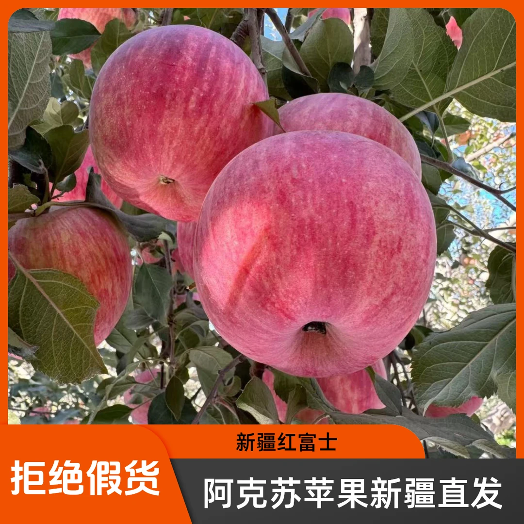 正宗新疆阿克苏现摘红富士苹果新鲜应季脆甜多汁8.5斤