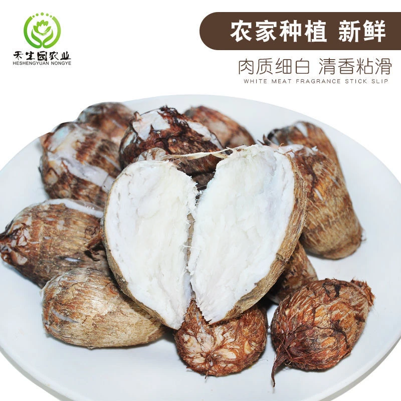 山东牛奶小芋头沙土地种植口感软糯细腻新鲜现挖现发