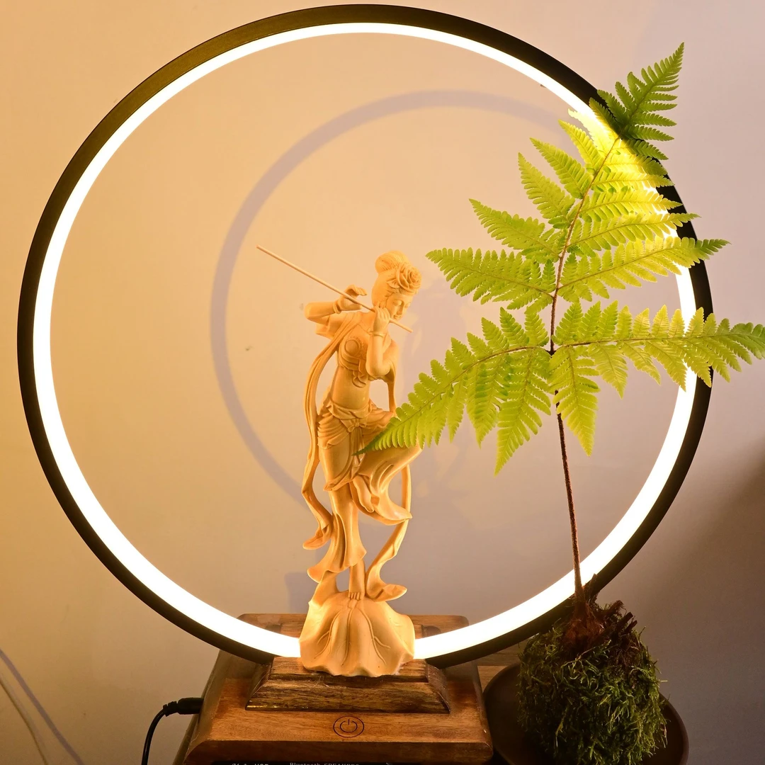 红磷蕨类植物一叶蕨小盆栽耐阴好养绿植茶台室内常绿观叶禅意盆景
