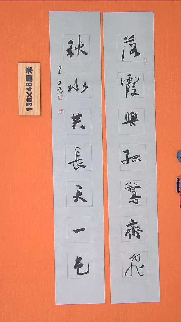 【闪购商品】书法113书法王老师作品138*46