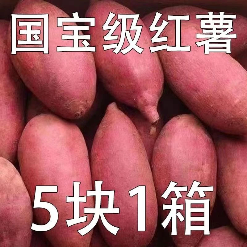 【抢购中】沙地红薯新鲜西瓜红地瓜1-9斤板栗番薯蔬菜水果紫薯蜜薯
