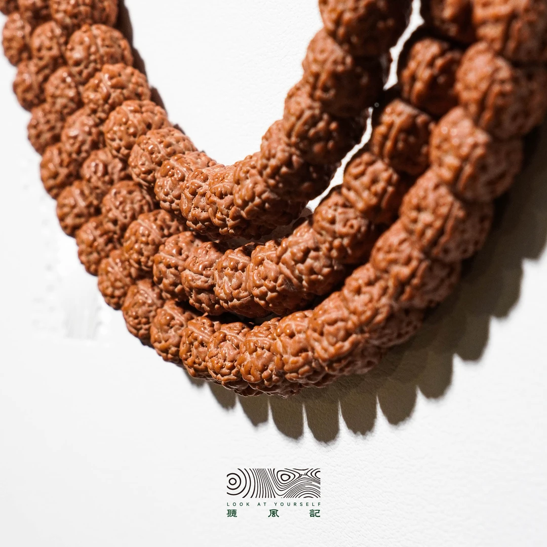 全品一代龙藏式龙切金刚菩提手持