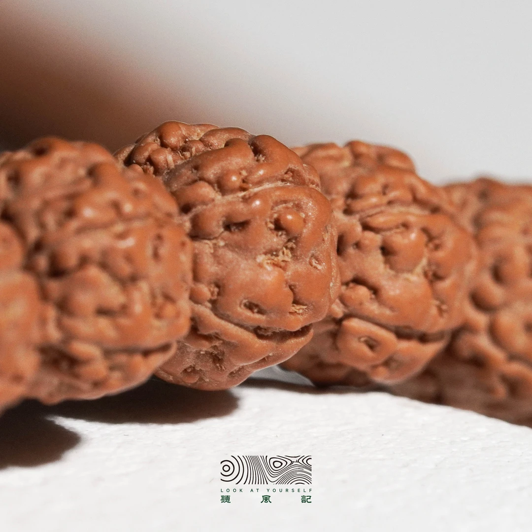 【聽風記出品】黄点原桩龙原皮原色小金刚长串7-8+