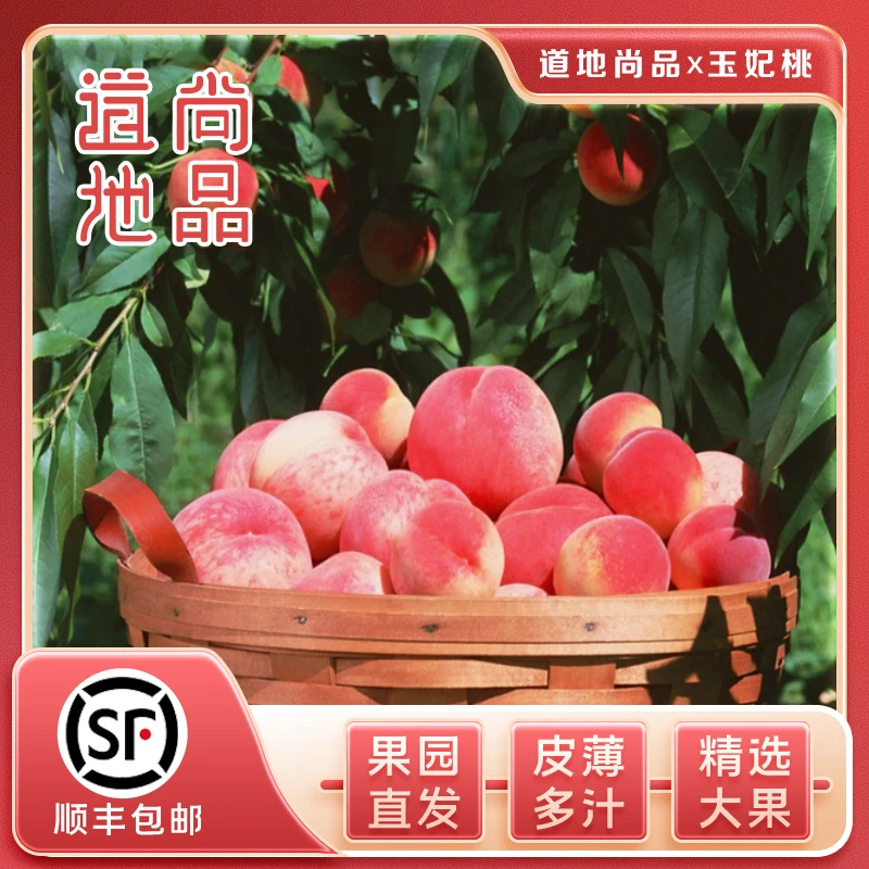 【果王】【正宗肥城玉妃】新鲜当季现摘水果脆甜美味爽口果园直发