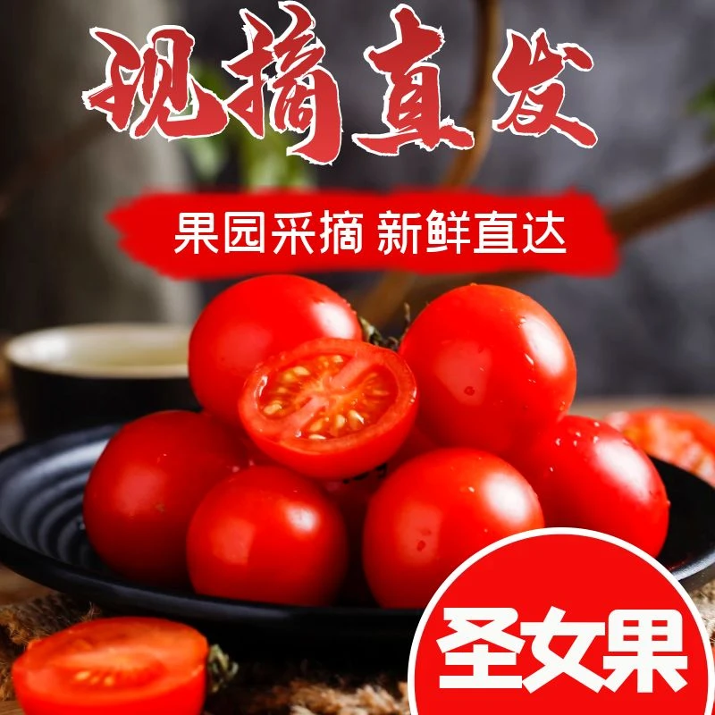 【江博尔】现摘圣女果小西红柿小番茄千禧小柿子超甜水果