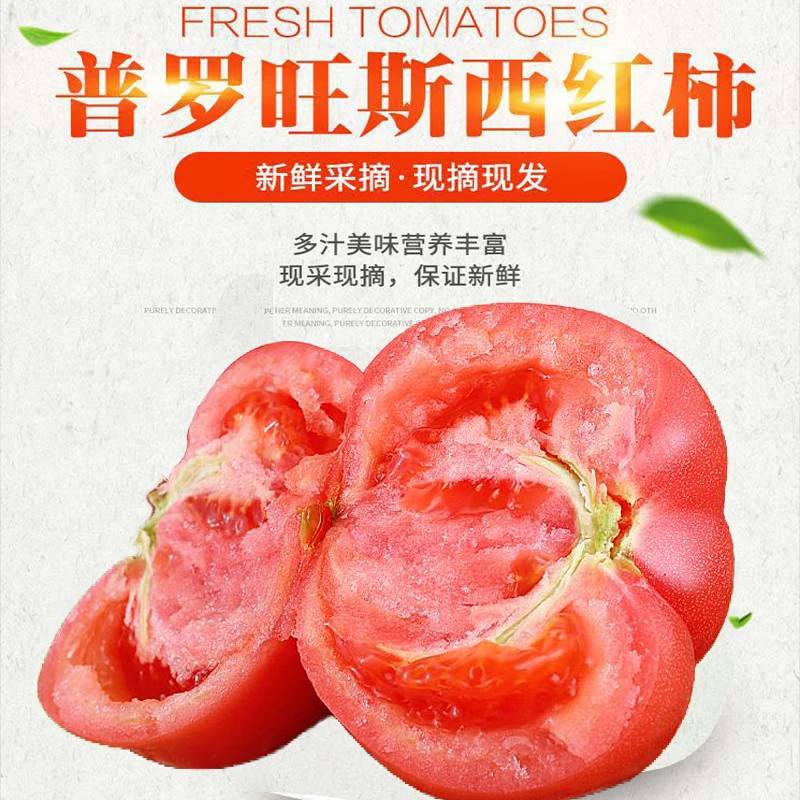 江博尔普罗旺斯水果西红柿陕西泾阳沙瓤生吃5斤装 产地现摘现发