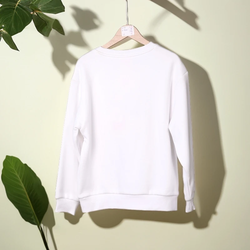 B8-1032贵秋冬儿童休闲薄绒圆领卫衣（24103R)