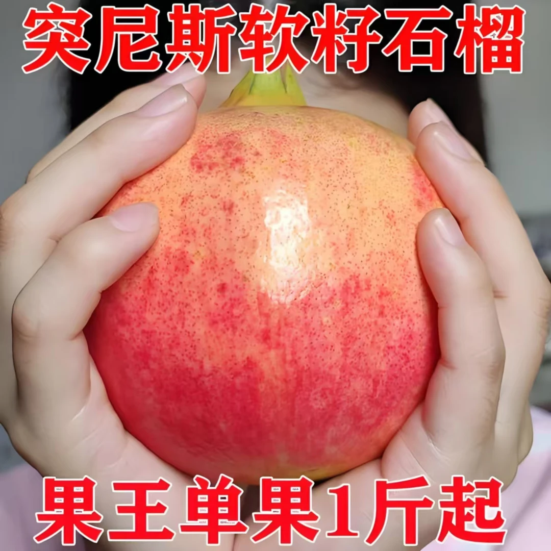 精品河阴软子石榴特大果突尼斯软籽石榴（超大水果果王）红石榴7号