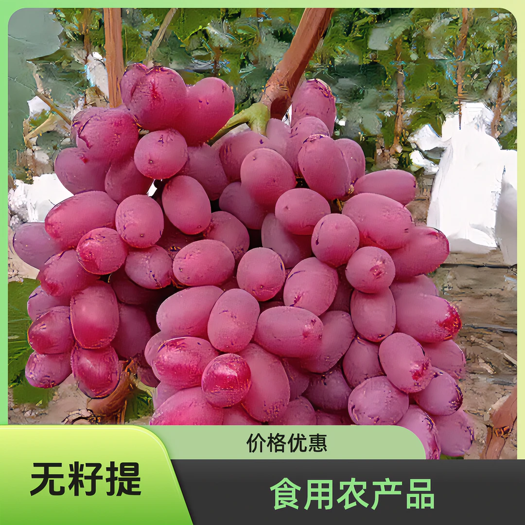 顺丰包邮无籽红提葡萄新鲜脆甜当季水果大小串混装