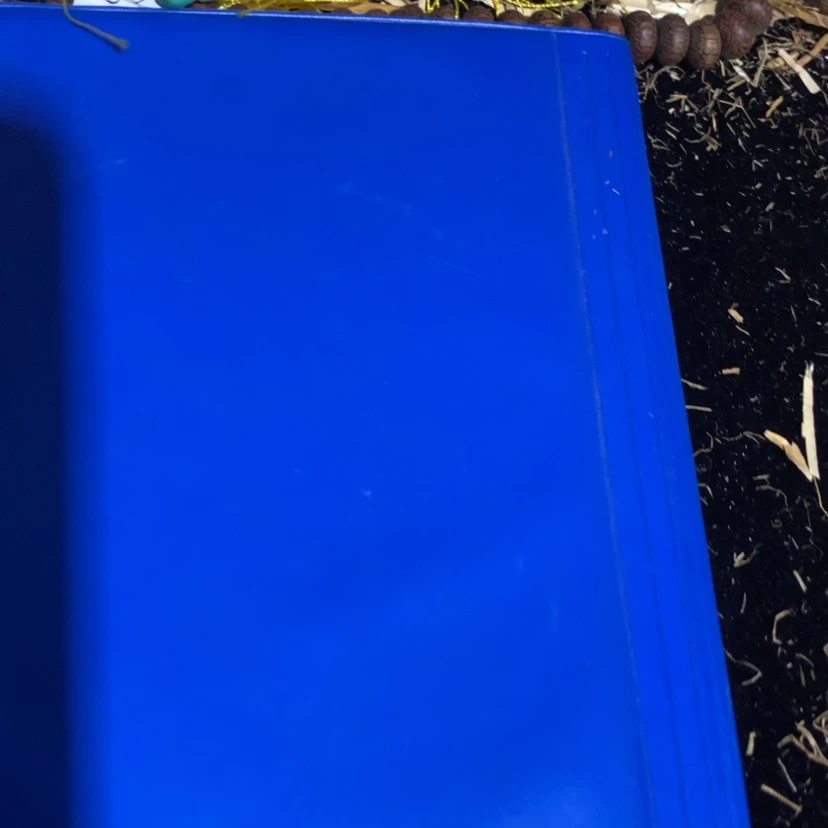 【闪购商品】书法1111111111