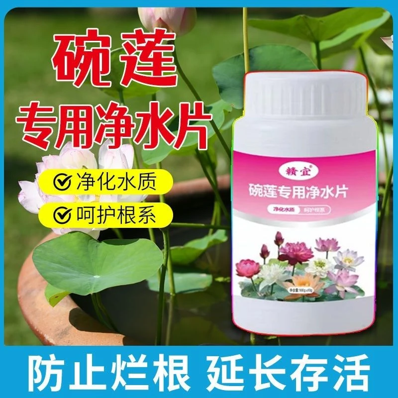碗莲净水片睡莲荷花净化水质水池除臭去杂质清澈鲜花保鲜消毒片