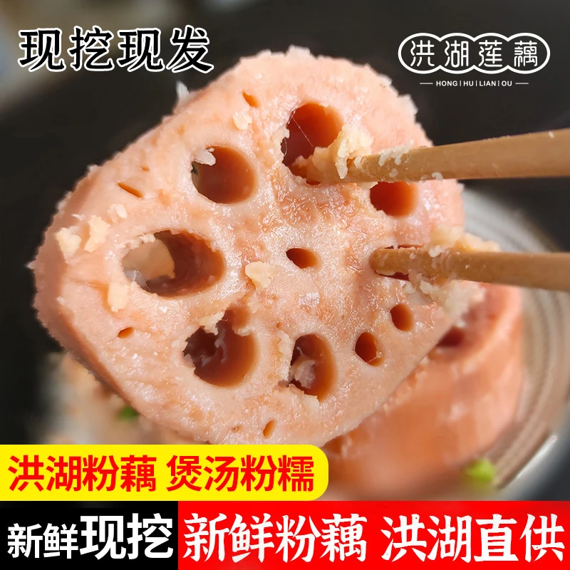 洪湖莲藕粉藕煲汤老藕粉糯香甜现挖湖北特产泥巴农产品1、3、5斤